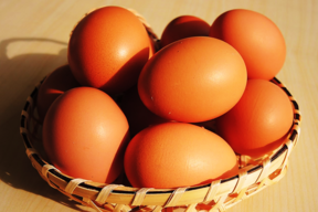 【平飼い】おぶせのたまご（30個）