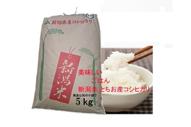 【令和８年新米予約】【農家直送】新潟・とちお産コシヒカリ5kg｜棚田育ち・雪どけ水と山の湧水が育むお米（送料相当値引き中）