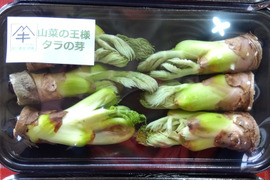 春のスペシャル詰合せセット
【タラの芽３パック・ほうれん草３袋・菜の花３袋】
この時期だけの春爛漫セットすぐ出荷できます。
タラの芽５５gx３パック・ほうれん草150gX3袋・菜の花150gⅹ3袋