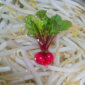 はなもも農園