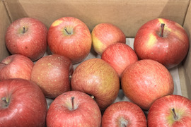 【ジュース加工用・バラ詰め】サンふじ🍎大きさバラバラ　家庭用約2.7Kg🍎青森県産　数量限定