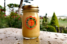 生きた蜂蜜！非加熱＆無添加の日本ミツバチ「熟成発酵蜜」お試しサイズ８０ｇ