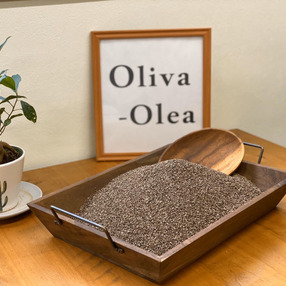 Oliva-Olea（筒木オリーブガーデン）
