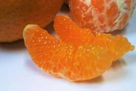 〔小玉で人気♪〕🍊とろける甘酸っぱさ！濃い味わいの早生みかん ７kg【花崗岩の離島から直送！／果汁じゅわっ】