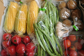 【福袋2025】はねだしでお得!!自然栽培野菜セット