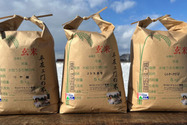 【食べ比べ】令和5年産　特別栽培米コシヒカリ　つや姫　ミルキークイーン　各玄米5㎏
