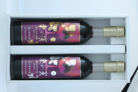 【新商品！】桑の実ワイン　甘口・辛口セット　熊本県産桑の実使用