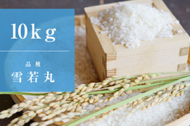 予約開始！山形県産雪若丸（10kg）令和7年産：精米