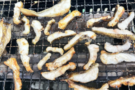 冷凍！海のギャング‼️徳島宍喰産ウツボ(調理済み)！焼くだけ、揚げるだけ！約250g