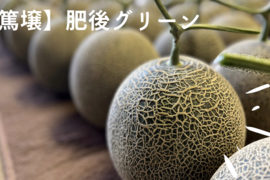 【金の土】肥後グリーン！熊本県産糖度16度超えメロン（3Lサイズ 2個入）【篤壌シリーズ】