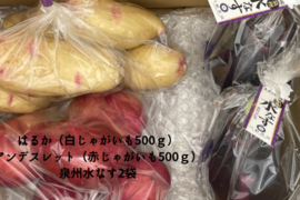 皮ごと食べたい！農家の極上じゃがなすセット(泉州水なす2袋・はるか500ｇ・アンデス500ｇ）