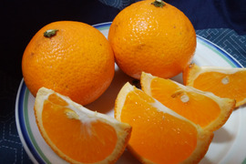 スイートスプリング　(箱重量込み４㎏）（自然栽培）【熨斗対応可】