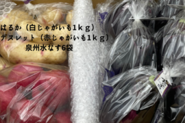 皮ごと食べたい！農家の極上じゃがなすセット(泉州水なす6袋・はるか1kｇ・アンデス1kｇ）