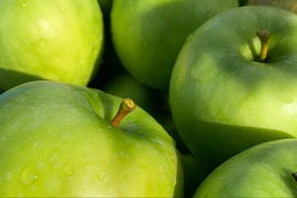 爽やかな初恋の味　はつ恋ぐりん　青森県産りんご《家庭用　3kg》