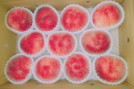 【8月お届け】今年の夏はこれ！糖度計を振り切った極甘桃(家庭用3kg、9-11玉)