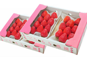 いちごの王様!あまおう苺 人気サイズ 270g×4パック
