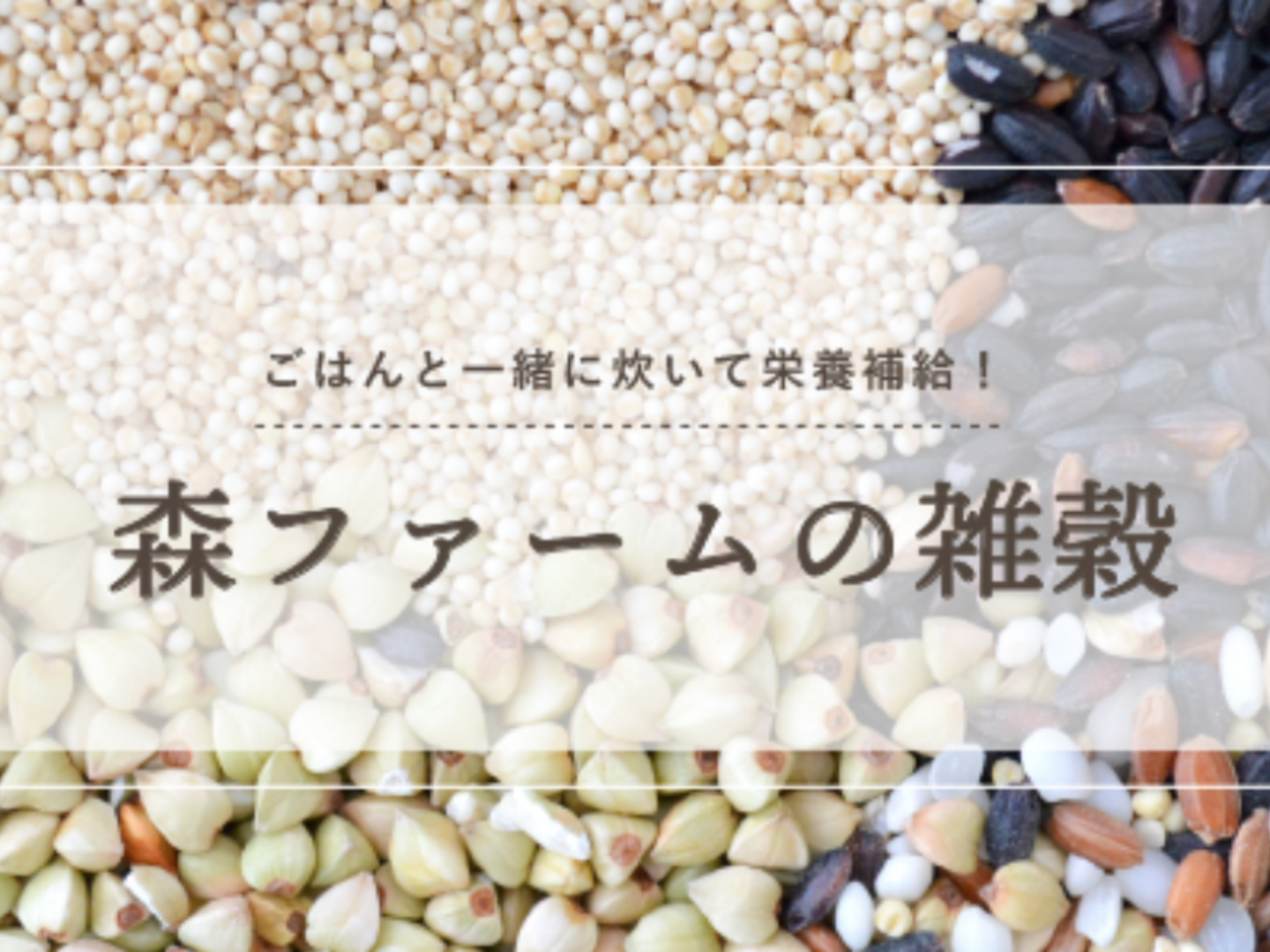 有機JAS・コシヒカリ・ミルキークイーン】清らかな地下水で育て