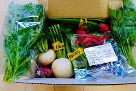 【定期便】旬の野菜セット(冬は鍋野菜)箱込み2kg