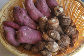【30名様限定】食欲の秋!さつまいも(約5Kg 9-12個)