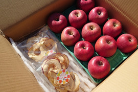 りんごチップスセット！長野県認証栽培サンふじ3ｋｇ