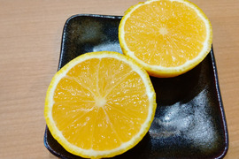 【冬ギフト】農薬不使用　種なしカボス 2.5キロ　たっぷり果汁