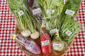 【自然栽培🍀80サイズ】採れたて！旬菜セットM（３〜５人様向け）７品目以上