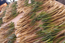 土付き　沖縄島ラッキョウ　5㎏