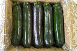 【埼玉県産】今が旬‼お徳用ズッキーニ　(8~9本　約2.5㎏)