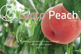 【7月発送！限定30箱】乳酸菌で大切に育てた特別な桃《プレミアムブランド》ラクトピーチ 2kg 【ギフト】【贈答用】化粧箱でお届け！農園から直送