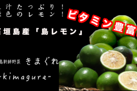 石垣島産「レモン」1kg