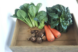 食べきりセット　旬の野菜を４～５品目　農薬：栽培期間中不使用