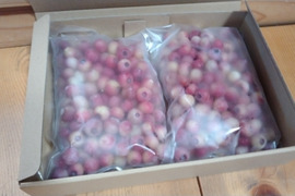 除草剤不使用、特別栽培認証の冷凍ピンクブルーベリー１キロ（ジャム、スムージー用、サイズ混在）