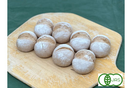 全部有機！Singleパン㉗：麦の栽培から一貫生産　自然栽培有機小麦のみ使用した有機ハニーブレッド×8