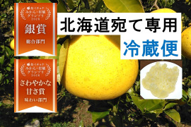 化学合成農薬栽培期間中不使用　土佐文旦　家庭用　大小混合　15個前後　文旦の本場👑高知県土佐市産　☆便利な皮むき器付き　”北海道への配送専用商品です”　２０２７年１月下旬発送