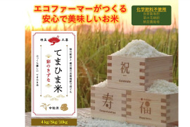 【新米】令和4年産　ふっくら優しい『てまひま米』彩のきずな・中粒米4㎏(2kg×2）