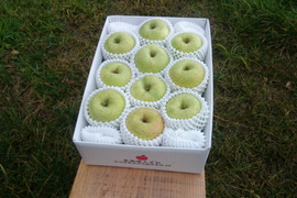 王林好きな方へ【小玉/特別栽培/ご家庭用/】王林2.5キロ