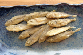 【🧍単品】マメに働かない「ほっこり🐽豆アジ」。カリッと揚げたら🍺ビールに最高🤣！【豆アジ唐揚げ１０００ｇ】絶品🌟