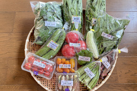 【自然栽培🍀80サイズ】採れたて！旬菜セットS【少量ずつ7品目前後】