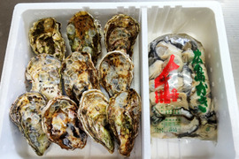 春牡蠣✨【加熱用】殻付き牡蠣10ヶ＋【加熱用】むき身１kg袋（または500ｇ×2袋）「熨斗対応可」