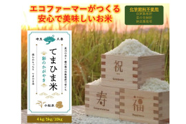 【新米】令和4年産　柔らかもっちり『てまひま米』彩のかがやき　小粒米4㎏(2kg×2）