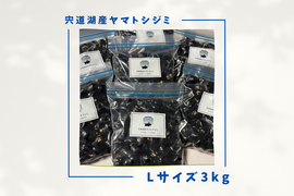 【訳あり】漁師直送！宍道湖産ヤマトシジミ・冷凍3kg（ご家庭用・お任せサイズ）