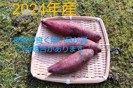 くりの風味の逞しいお芋「紅まさり」 ５キロ