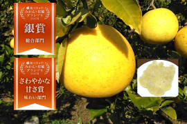 🏆柑橘グランプリ銀賞受賞　土佐文旦　化学合成農薬栽培期間中不使用　大玉　家庭用　7～8個　黄色いしあわせ®　高知県土佐市産　皮むき器付き　※北海道への配送はできません　２０２７年１月下旬発送