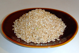 【令和7年新米】　福井県産　コシヒカリ　玄米　5Kg