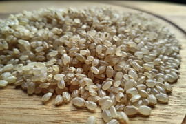 【新米】農薬化学肥料不使用　信州伊那谷★コシヒカリ(玄米)2025年産・5㎏