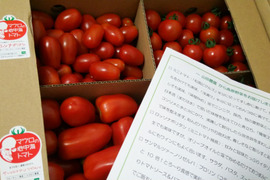 食べ比べ！トマト★3種詰め合わせ3ｋｇ「ミニトマト」「ロッソナポリタン」「サンマルツァーノ・リゼルバ」