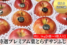 青森県産りんご「大人気」プレミアム葉とらずさんふじ自然味２、５Kg～３kg糖度１３%以上