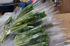 予約受付中！　春の山菜・花わさび！３００ｇ【期間限定　4月下旬～5月上旬】