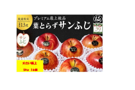 青森県産りんご 【大人気】【代々受け継がれた選びに選び抜いた極みの味】大きめサイズプレミアム蜜入り葉とらずさんふじ5Kg糖度13度以上