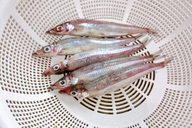 脂たっぷり！真空冷凍ニギス干物400g×2パック（計800g） 頭＆内臓除去済